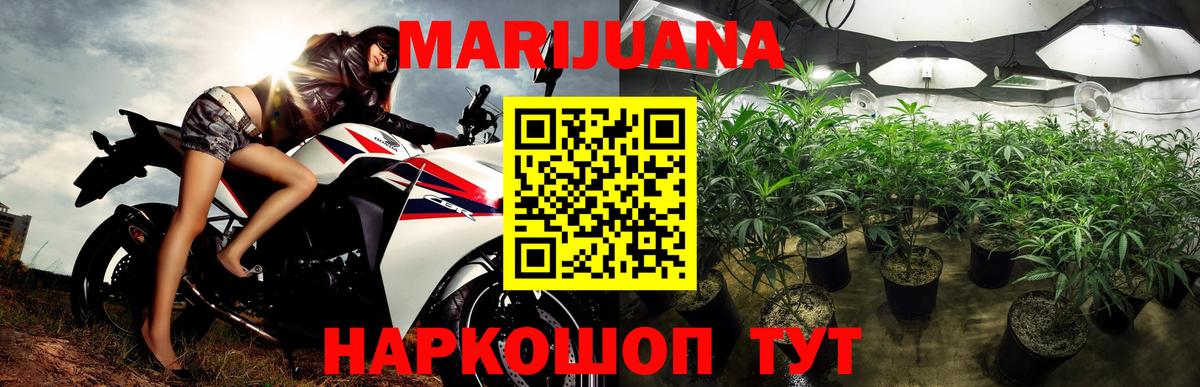 Алушта  Канабис сатива  Конопля семена  Вход с VPN  Шишки марихуана планчик 